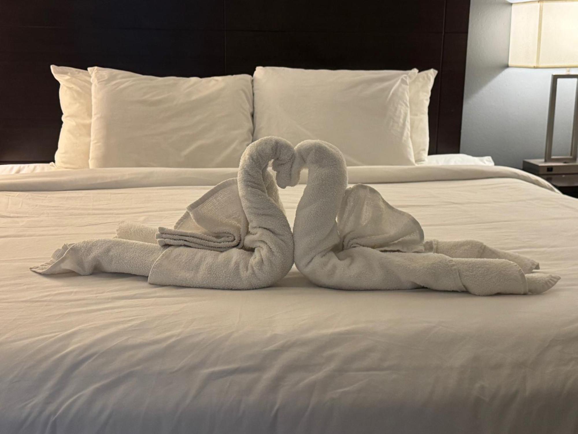 Clarion Inn & Suites Dothan South Ngoại thất bức ảnh